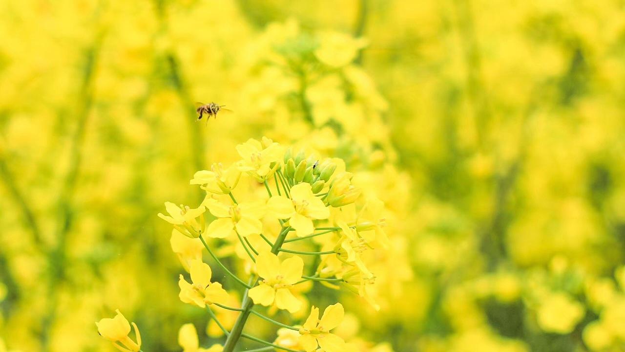 利多星智投内部金股可靠吗？不可靠，亲身经历揭露投资骗局黑幕！亲身经历教你挽回!
